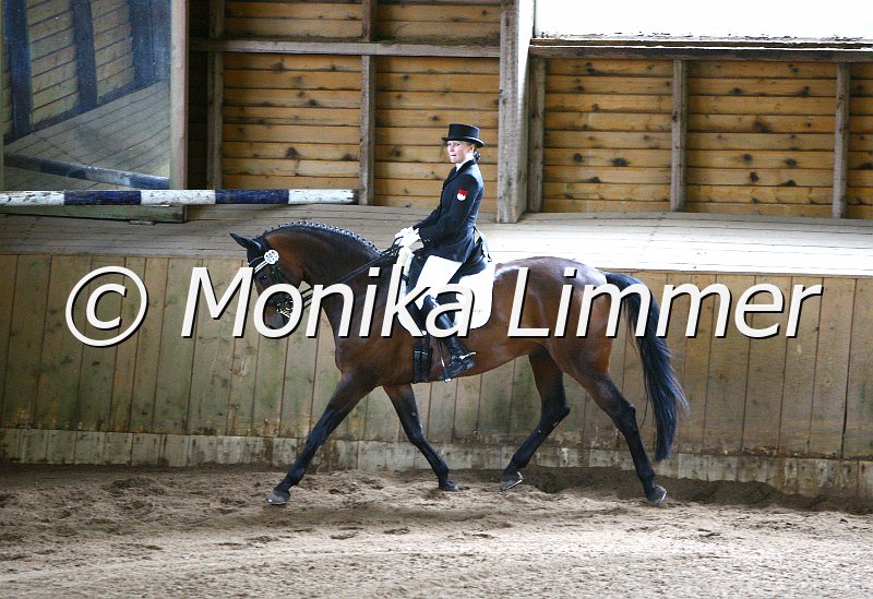 006M5425_Dressurpferde L.JPG